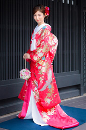 【G1024】二重紗赤枝垂れ桜に鶴の正面画像