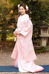 【H1038】ピンク銀糸刺繍鶴の正面画像