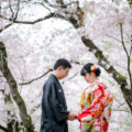 京都　前撮り　桜